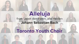 Alleluja, from "Lobet den Herrn, alle Heiden" | Toronto Youth Choir | Virtual Choir