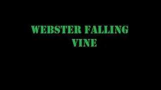 Webster Falling Vine