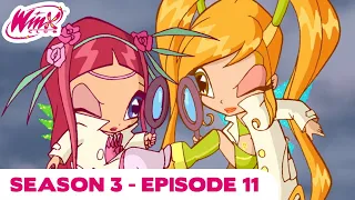 Winx Club - Season 3 Episode 11 - A Trap for Fairies - [FULL EPISODE]