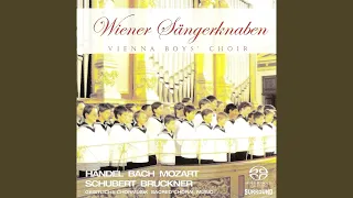 Ellens Gesang III (Ave Maria!) , Op. 52, No. 6, D. 839, "Hymne an die Jungfrau" (arr. H....