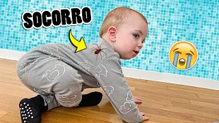 ECONTREI UMA ARANHA NO MEU BEBE | Amanda Domenico