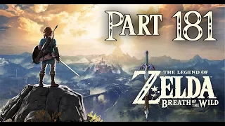 The Legend of Zelda: Breath of the Wild Switch Playthrough with Chaos part 181: Dragonflies