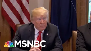 Donald Trump Mocks Robert Mueller Investigation With Sarcastic Tweets | The 11th Hour | MSNBC