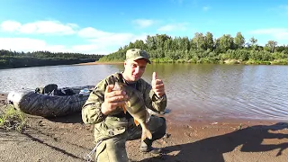 ГОРБАТЫЕ ОКУНИ ПРОСТО КЛЕВАЛИ НА ВСЕ!!! ЗАЕХАЛИ В ГЛУШЬ И ОТОРВАЛИСЬ ПО ПОЛНОЙ!!! Лодка Берег 320.