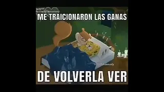 Bob esponja salí con tu mujer.