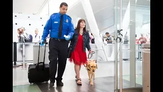 TSA Cares: Traveling with a Guide Dog