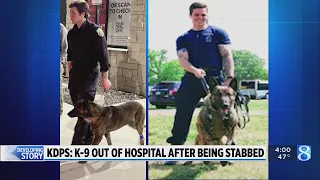 KDPS: K-9 out of hospital after being stabbed