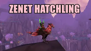 Zenet Hatchling - Mount Guide