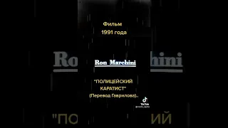 Полицейский каратист переводчик Гаврилов