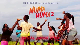 Dan Balan - Numa Numa 2 (feat. Marley Waters) | Pascal Junior Remix