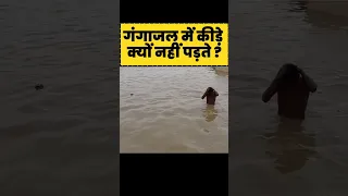 गंगाजल में कीड़े क्यों नहीं पड़ते || Ganga Holy Water || Ganga River #ganga #river #shorts #short