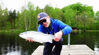 FISKE efter REGNBÅGE i DAMMEN - UL-fiske med NYA BETEN