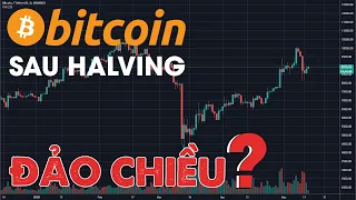 #370 - GIÁ BITCOIN SAU HALVING CÓ THỂ ĐẢO CHIỂU MẠNH ! CÁC MỐC GIÁ CẦN CHÚ Ý