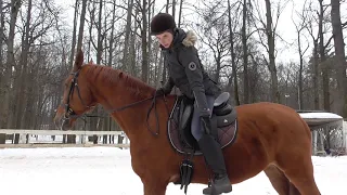 Как ездить в полевой посадке. Уроки верховой езды. Посадка всадника.