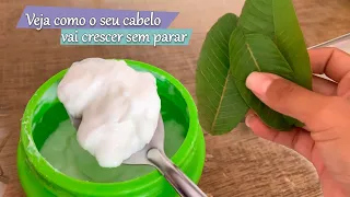 COMO FAZER O SEU  CABELO CRESCER EM UM MES  FAZENDO HIDRATAÇÃO COM FOLHA DE GOIABA