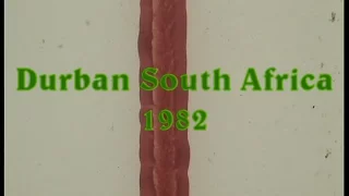 Durban South Africa 1982