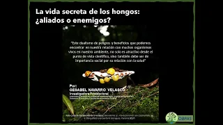 La vida secreta de los hongos: ¿aliados o enemigos?