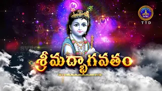 శ్రీమద్భాగవతం | Srimad Bhagavatham | Kuppa Viswanadha Sarma | Tirumala | 24-05-2024 | SVBC TTD