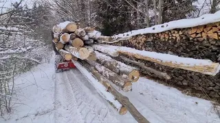 Scherrer's Holzen mit Hürlimann Traktoren