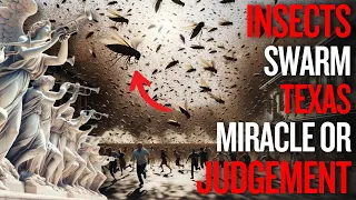 Terrifying SOUNDS and Strange INSECTS Swarm Over AMERICA In 2024 | Miracle or Judgement?
