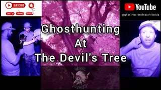 Ghosthunting at The Devil's Tree