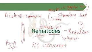 Nematodes Part 1