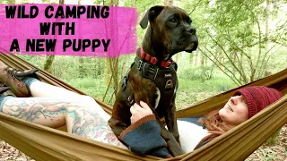 Wild Camping with a New Puppy | Trangia Cooking | Camping with My Wife