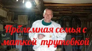 Матка трутовка весной .  Что делать???  Как я сколачиваю рамки.Мы пчеловоды.