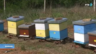 Izvoz u Kinu razvojna šansa za sve pčelare u Srbiji