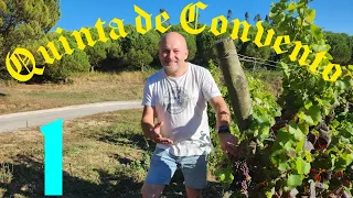 Український енолог у Португалії.#подорожі #португалія #виноробство #quinta #винокур