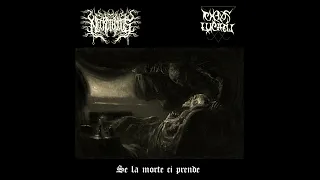 Necrothytus and Chaos Luciferi - Se la morte ci prende (Full Split)