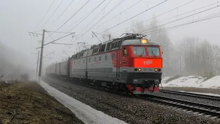 Разнообразие поездов на Ярославском направлении в густом тумане и ливне
