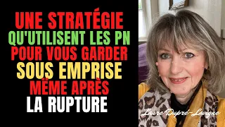 STRATEGIE DES PN POUR GARDER L'EMPRISE