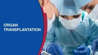 Know About Liver Transplantation | Liver Transplantation in India - Manipal Hospital