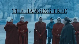 The Handmaid's Tale | The Hanging Tree