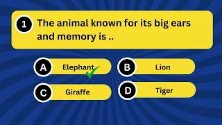 Kids Quiz