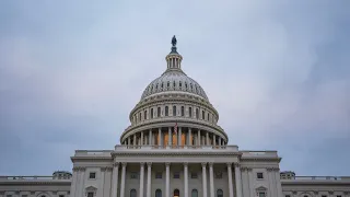 Hearing on January 6 US Capitol attack with accounts from police officers