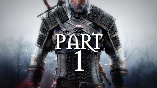 The Witcher 3 Wild Hunt - Gameplay Walkthrough Part 1 - Yennefer (PS4)