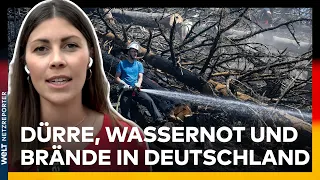 DÜRRE IN DEUTSCHLAND: Waldbrände & Wasserkanppheit - Erste Landkreise rufen Notstand aus