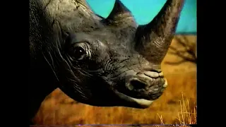Hostess - Rhino (1999, USA)