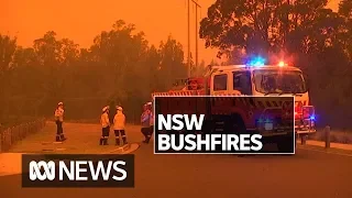 A ‘horrible, horrible sight': NSW firefighters battle fast-moving flames | ABC News