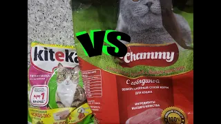 👍🐈Kitekat VS Chammy. Кота не обманешь?