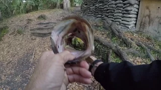 Evening Frog Fishing - Hillsborough River State Park - 3/6/17