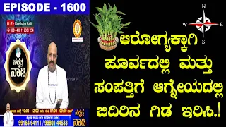 Keep Bamboo Plant at East for Health and South East for Wealth | Nakshatra Nadi by Dr. Dinesh Guruji