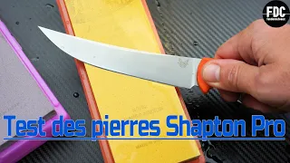 SHAPTON PRO - LE TOP DES PIERRES À AIGUISER 💯