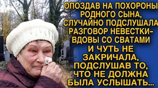 Узнав всю правду о невестке и сватах, она принялась действовать пока не поздно...