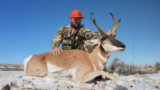 Wyoming DIY Public Land Antelope & Mule Deer Hunt! (Big Bucks Down)