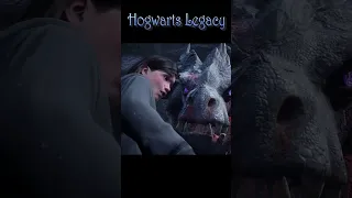 как приручить дракона? (Hogwarts Legacy)