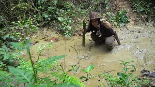 Wild Food (Shrimp, Mushroom...) Catch and Cook: Survival Alone | EP.217