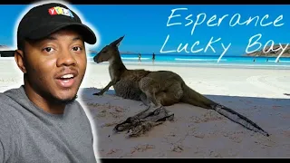 AMERICAN REACTS To Esperance / Lucky Bay | southern coast of Western Australia